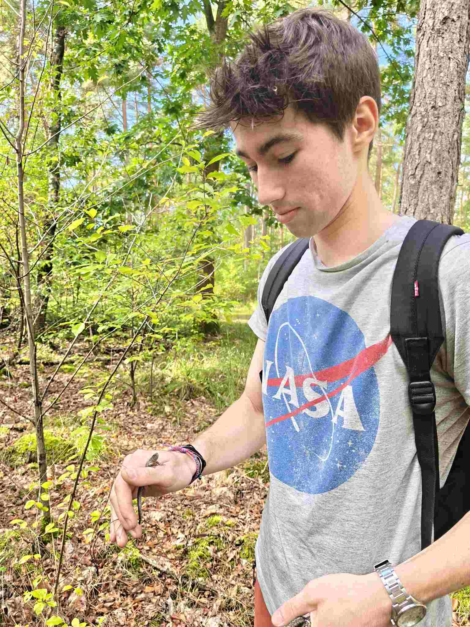 Maxim Rousseau